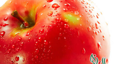 التفاح وعصير التفاح يحمي من الإصابة بسرطان القولون